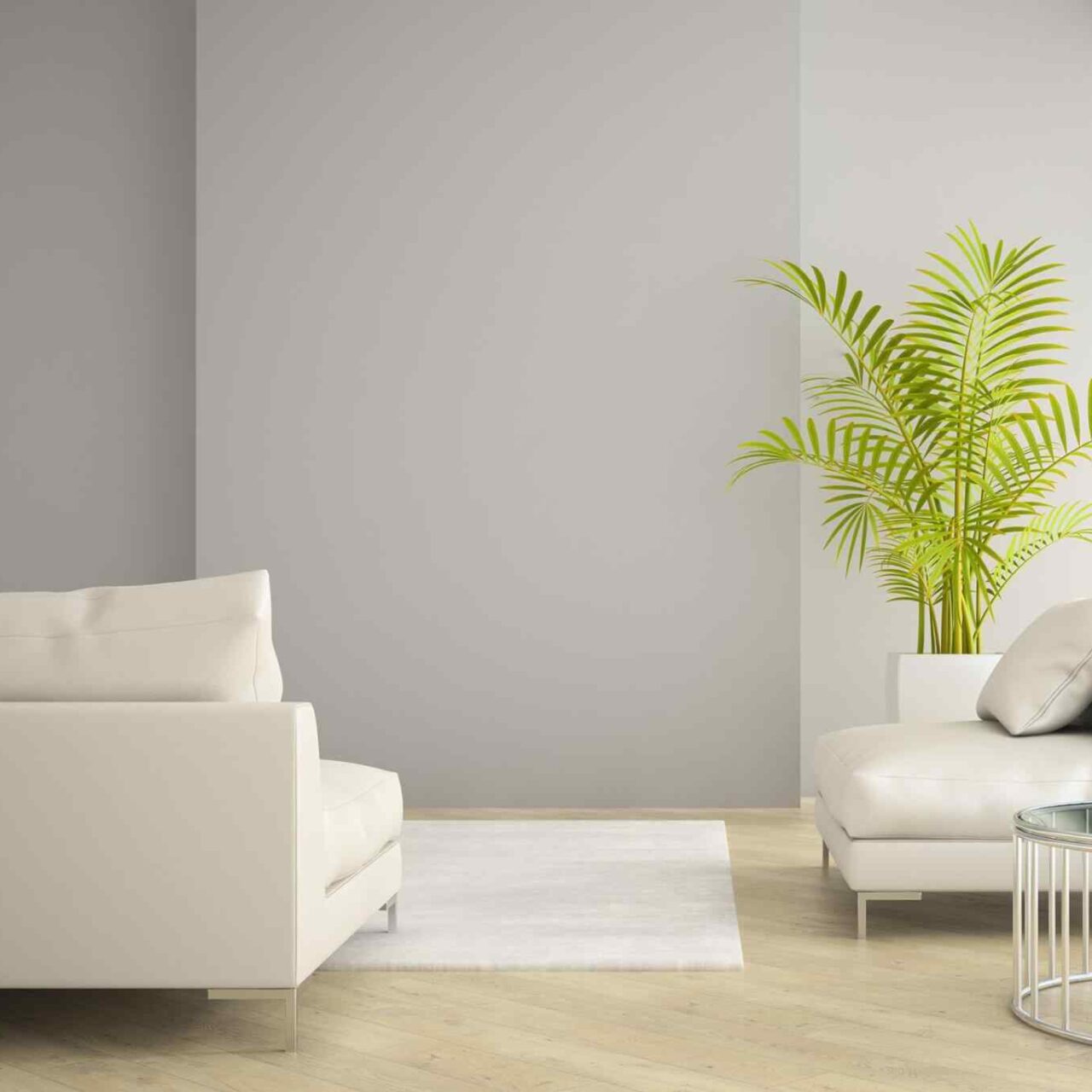 project-05 https://www.purescrolls.com/wp-content/uploads/2015/09/project-05-1280x1280.jpg